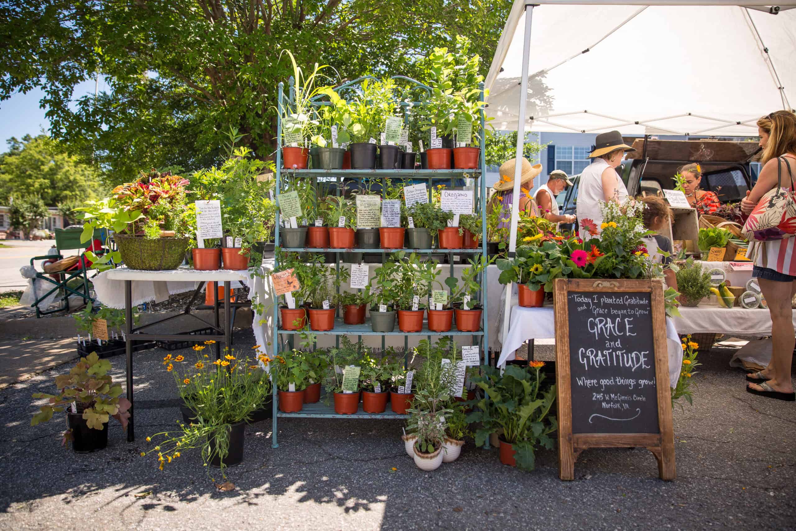 Outdoor market stall with shelves of potted plants and herbs. A chalkboard sign displays handwritten notes. Shoppers in hats browse nearby under a white canopy.