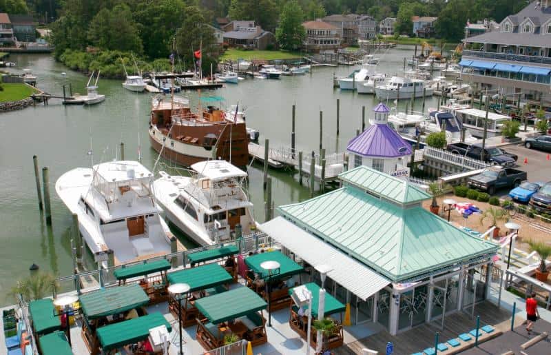 Aerial view of a marina with several docked boats and a building with a green roof. Surrounding the area are trees and waterfront houses.