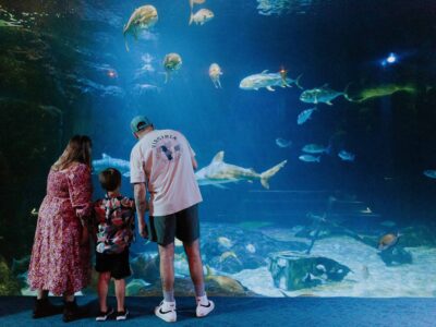 Three people stand in front of a large aquarium tank, watching various fish and marine life swim around.