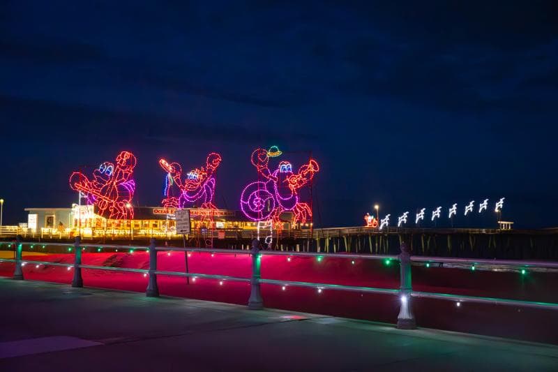 Neon light display on a boardwalk at night depicts cartoonish sea creatures.