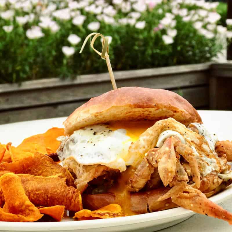 A burger with melted cheese and a fried egg, served with sweet potato chips, on a plate. A toothpick holds the burger together. Flowers are visible in the background.