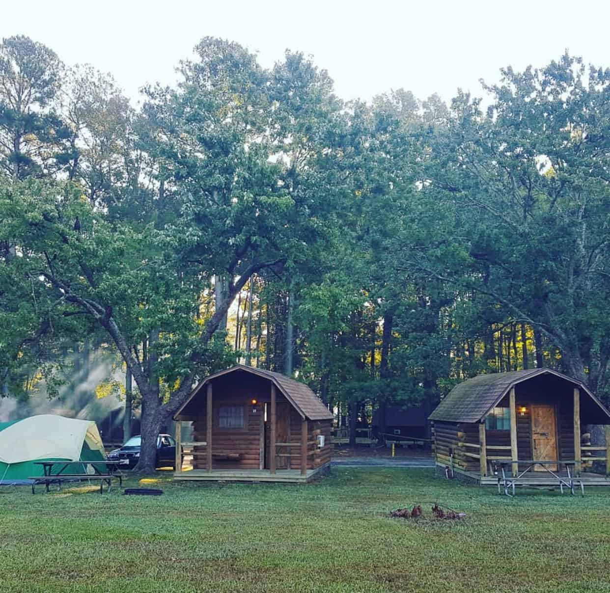 Two wooden cabins and a tent in a grassy campsite surrounded by tall trees. Picnic tables and a fire pit are visible in the foreground.