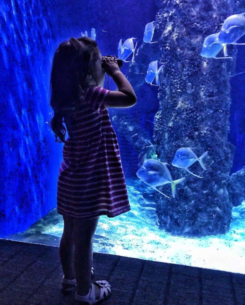 A young girl in a striped dress looks through binoculars at fish swimming in a blue-lit aquarium.