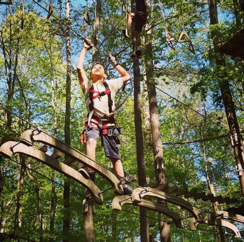 A child wearing a harness navigates a rope bridge in a forest adventure park on a sunny day.