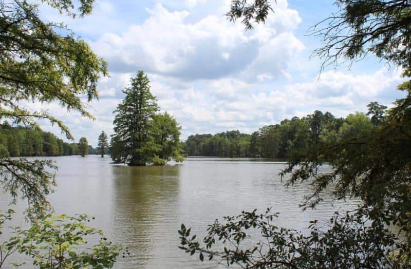 A serene lake scene with calm water reflecting trees and a cloudy sky, surrounded by lush greenery and a small tree-covered island in the center.