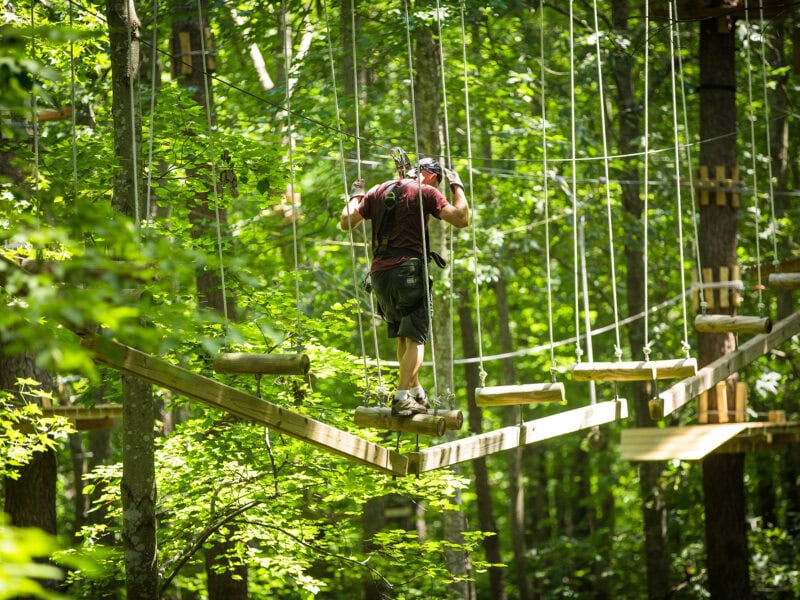A person navigates a high ropes course suspended between trees in a lush, green forest setting.