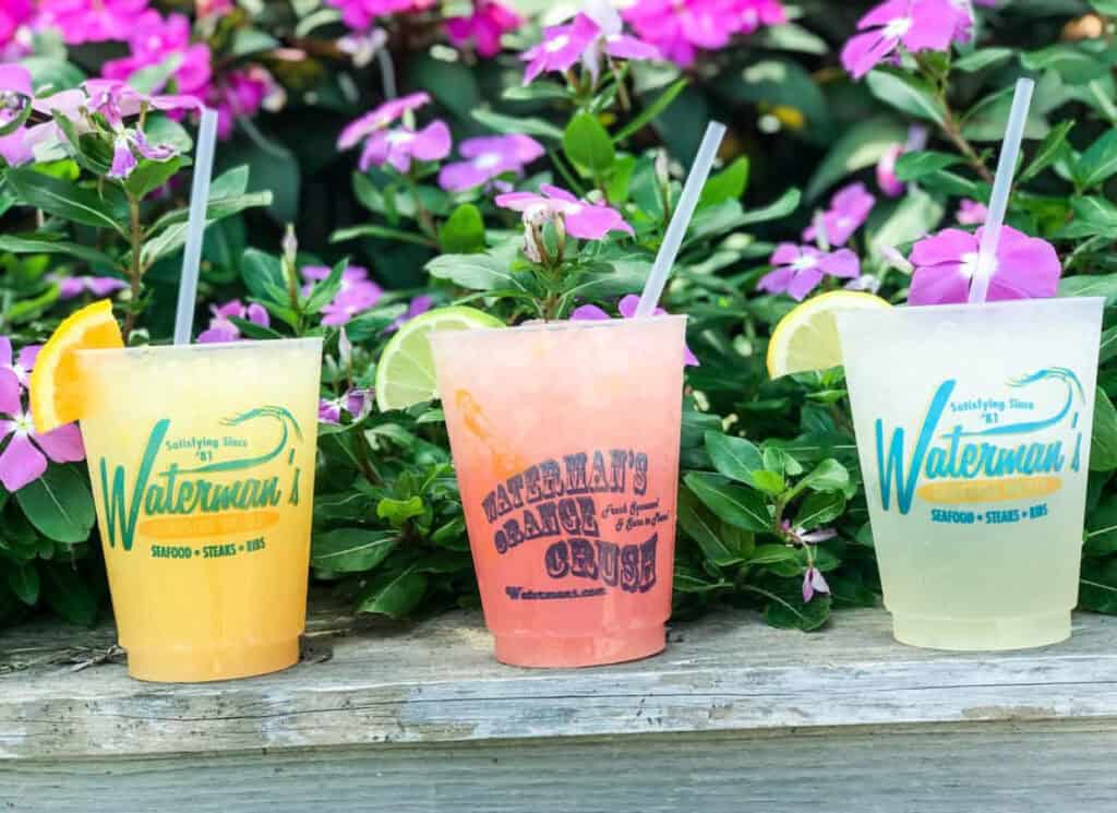 Three colorful drinks served in clear cups with branding from Waterman's, surrounded by vibrant pink flowers.