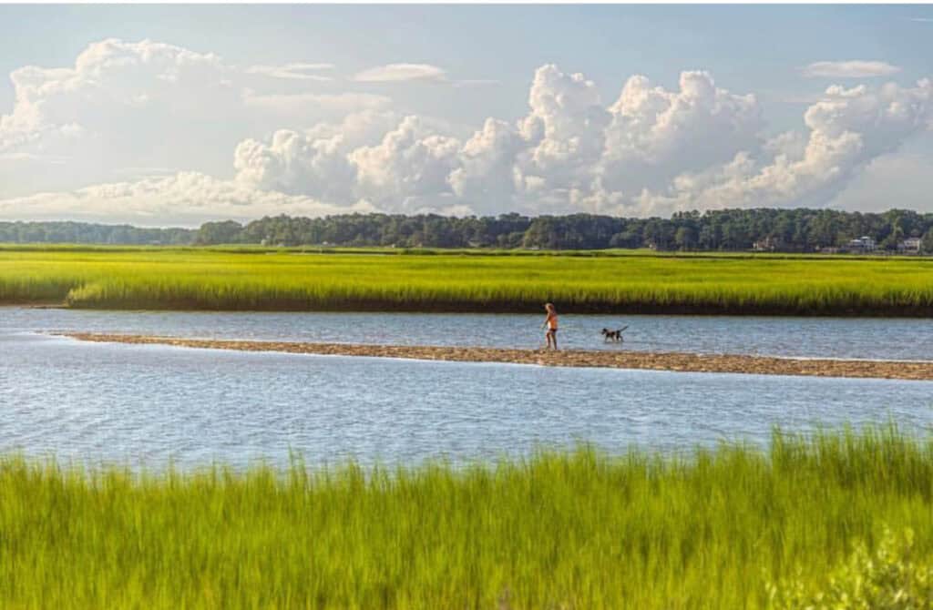 A person walks a dog along a sandy strip in a calm marsh, surrounded by vibrant green grass and fluffy clouds in the sky.