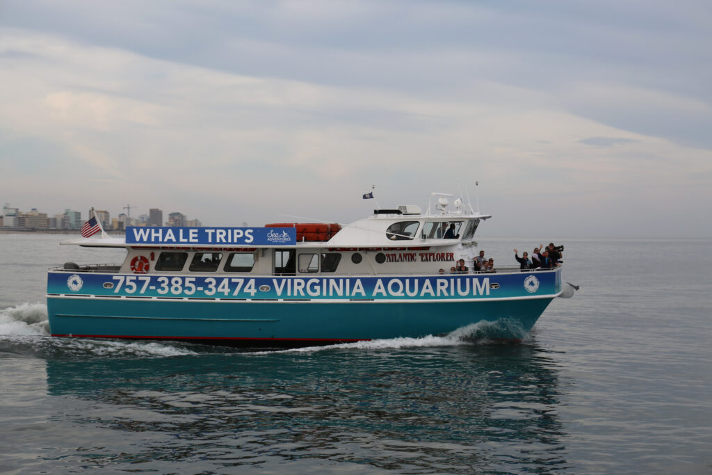Blue and white boat on water with "Whale Trips" and "Virginia Aquarium" signage, a few people onboard, and city skyline in background.