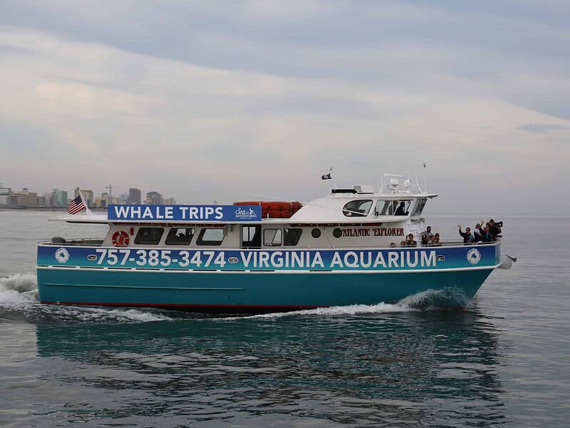 Blue and white boat on water with "Whale Trips" and "Virginia Aquarium" signage, a few people onboard, and city skyline in background.