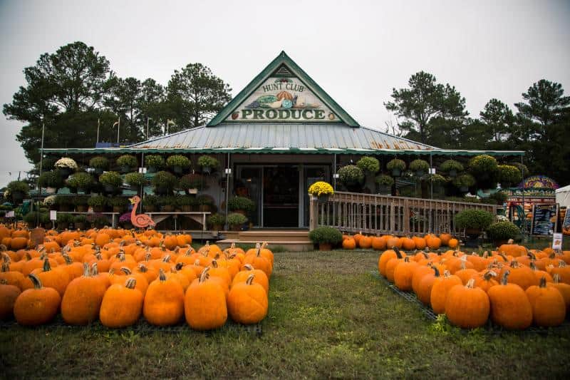 A produce market with pumpkins displayed outside. A-frame building with plants and flowers hanging on the porch. Trees in the background.