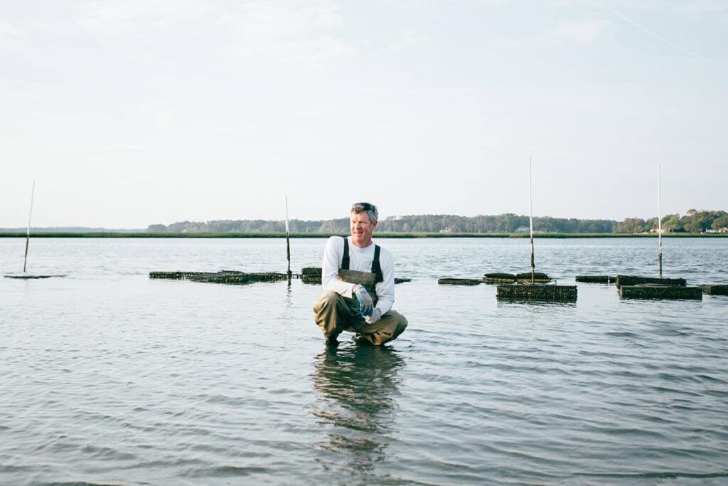 Person kneeling in shallow water, wearing waders, surrounded by floating oyster cages on a sunny day with a clear sky and distant treeline.
