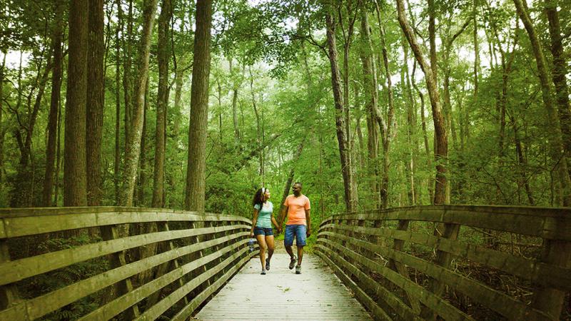 A couple walks along a wooden boardwalk surrounded by lush green trees in a peaceful Virginia Beach First Landing State Park. 