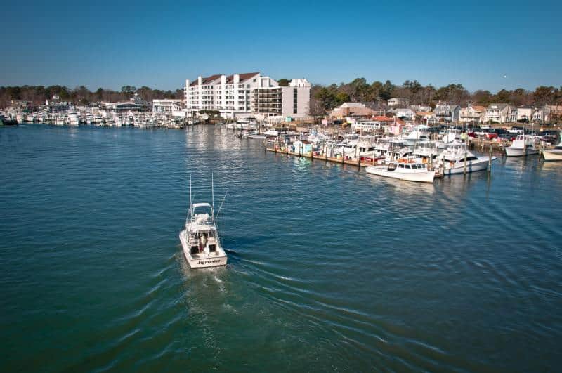 Boat navigating a calm harbor, surrounded by docked boats and buildings under a clear blue sky.