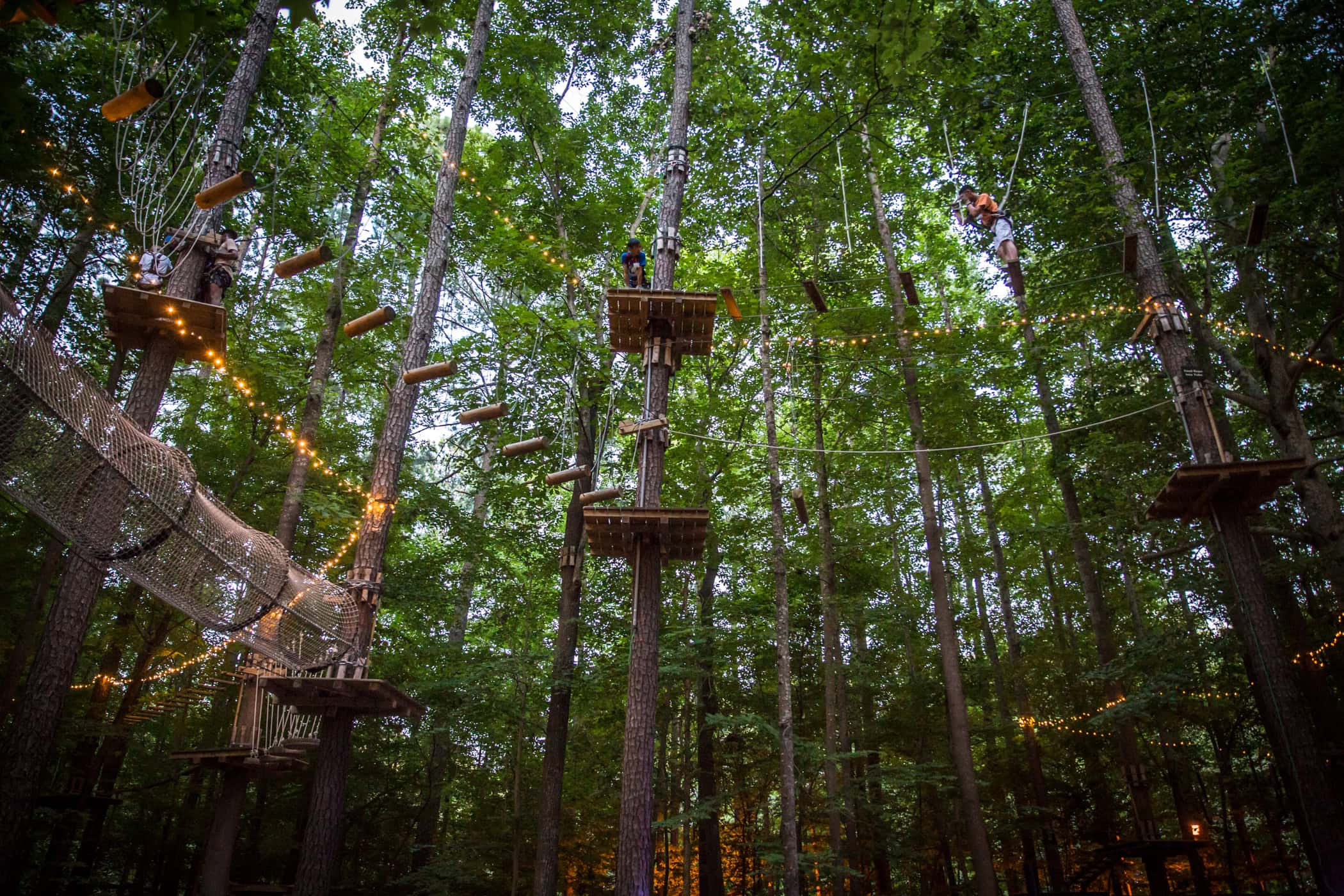 A forested adventure park with people navigating rope courses and platforms among tall trees. Lights string between structures.