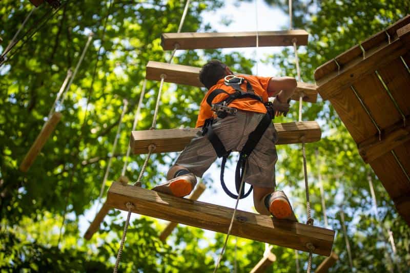 Child wearing a harness climbs a wooden rope ladder in a forest adventure course, surrounded by trees.