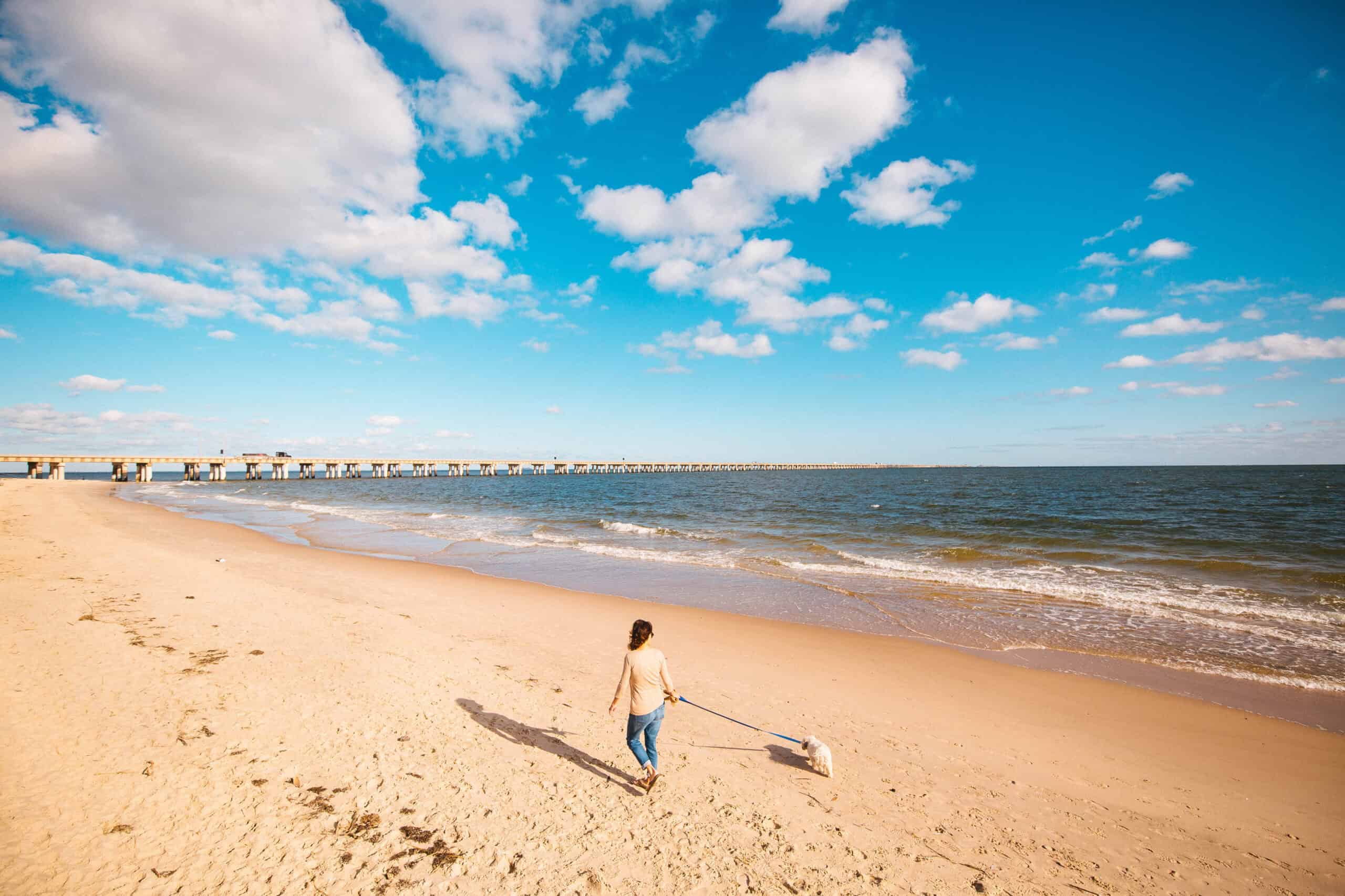 Person walking a dog on a sandy beach with a blue sky and scattered clouds; a long bridge is visible in the background.