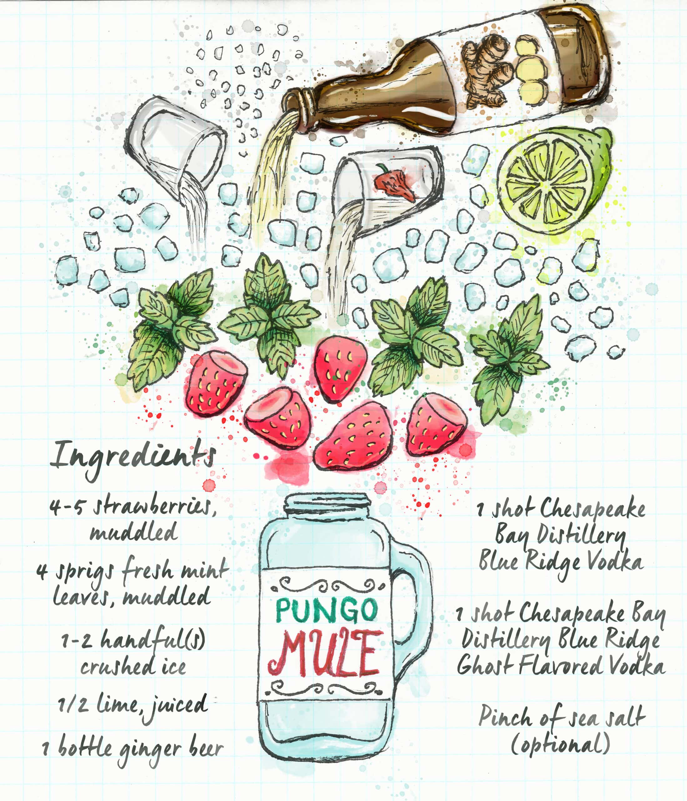 Illustrated cocktail recipe with strawberries, mint, lime, ginger beer, vodka, and ice. Includes a jar labeled "Pungo Mule" and ingredients list in artistic style.