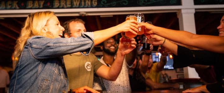 Group of people clinking glasses in a lively bar setting.