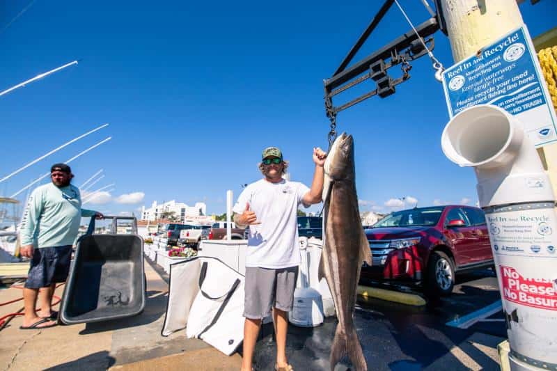 Man holding a large fish at a marina, standing by a scale. Another person is nearby. Boats and a car are in the background under a clear blue sky.