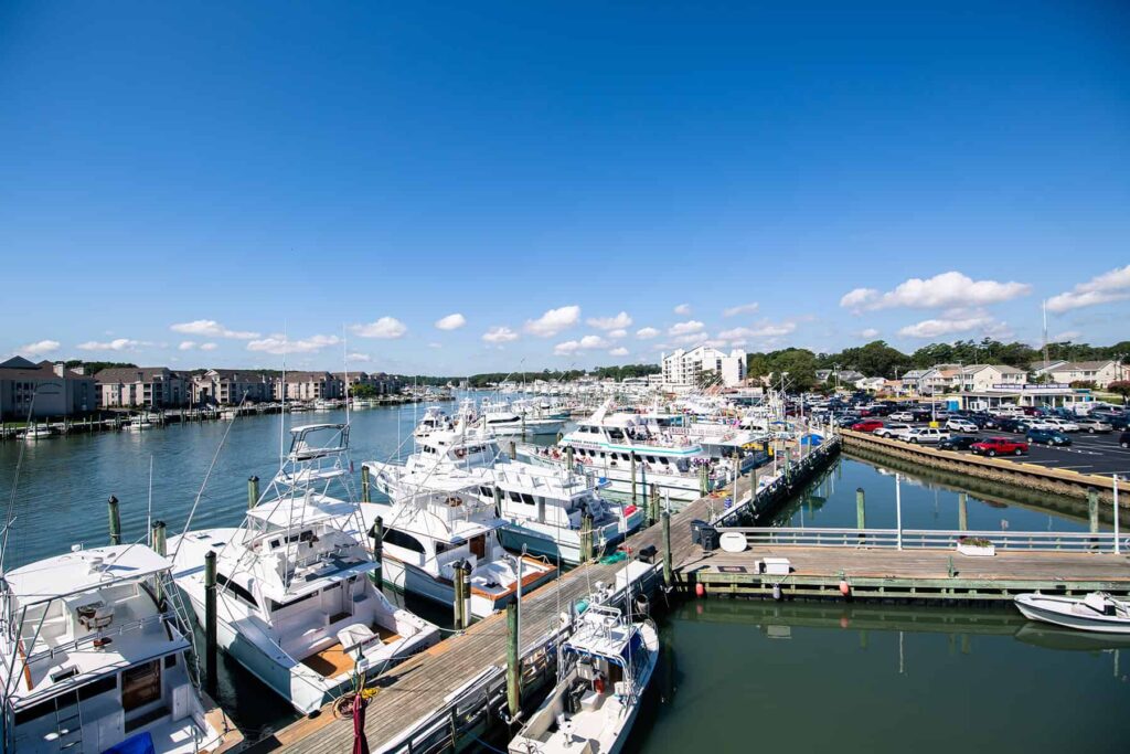 A marina with numerous boats docked at a pier on a sunny day. Buildings and parked cars are visible in the background.