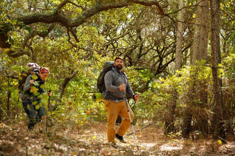 Two hikers with backpacks and trekking poles walk through a sunlit forest with dense trees and foliage.