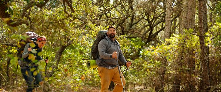 Two people hiking on a forest trail, carrying backpacks and walking sticks, surrounded by trees and greenery.
