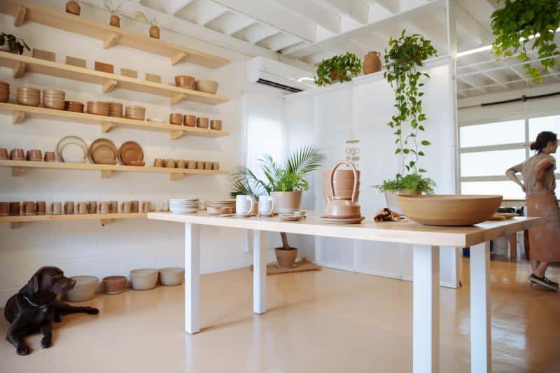 A bright pottery studio with wooden shelves displaying pottery. A long table holds various ceramic pieces and plants. A person works in the background, and a dog sits on the floor.