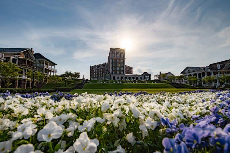 A large building is seen in the distance with the sun positioned behind it. In the foreground, there are green lawns and a field of white and purple flowers.