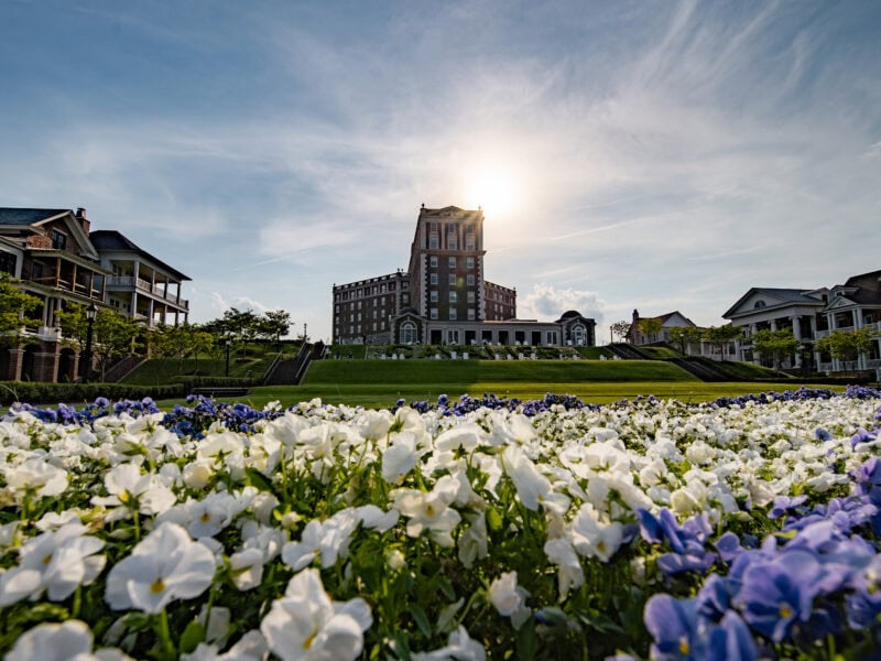 A beautiful landscape featuring a large historic building surrounded by vibrant flower beds with white and purple pansies under a sunny sky.