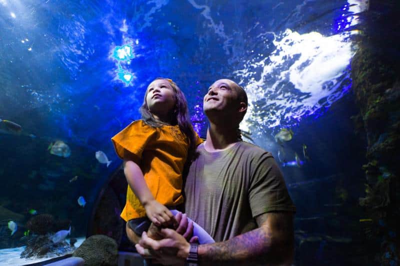Man holding a child as they look up at fish swimming above in an aquarium tunnel.