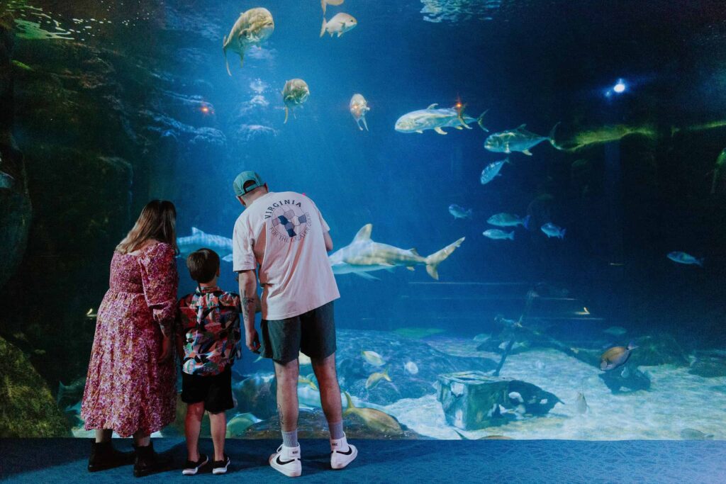 Three people stand in front of a large aquarium tank, watching various fish and marine life swim around.