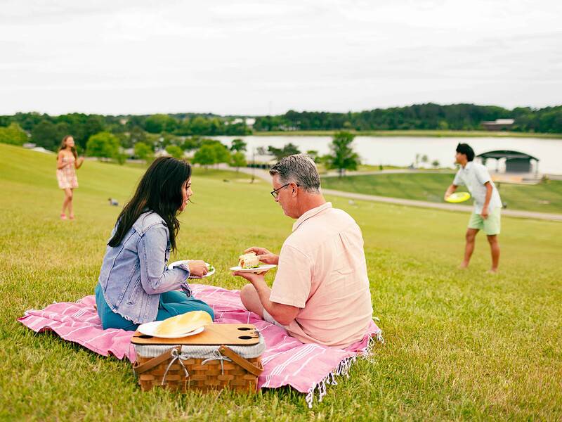 Couple having picnic on a pink blanket with kids playing with a yellow frisbee in background.