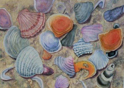 Various colorful seashells scattered on a sandy surface.