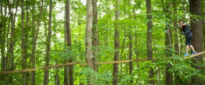 Person wearing a safety harness walks on a narrow suspended wooden bridge in a forest setting.