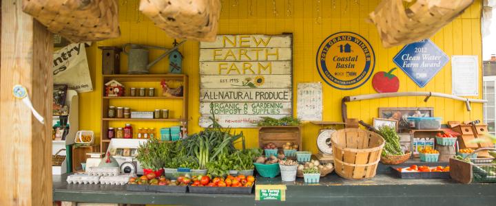 Farm stand with fresh produce, including tomatoes, greens, and eggs. Sign reads 