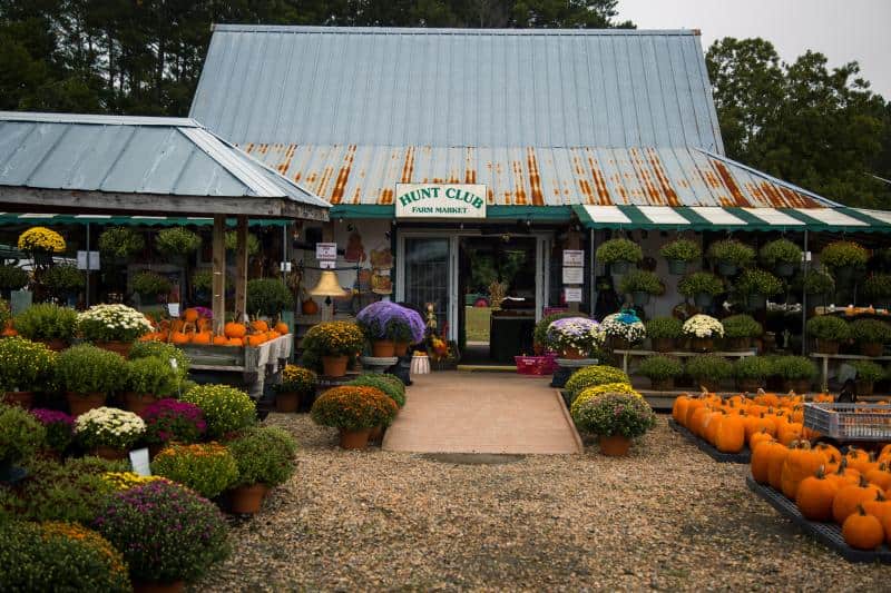 A rustic farm market with a corrugated roof, displaying vibrant flowers in pots and rows of pumpkins outside. The sign reads "Hunt Club Farm Market".
