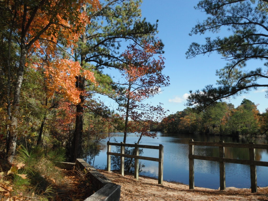 A serene lake surrounded by trees with autumn foliage and a wooden fence in the foreground under a clear blue sky.