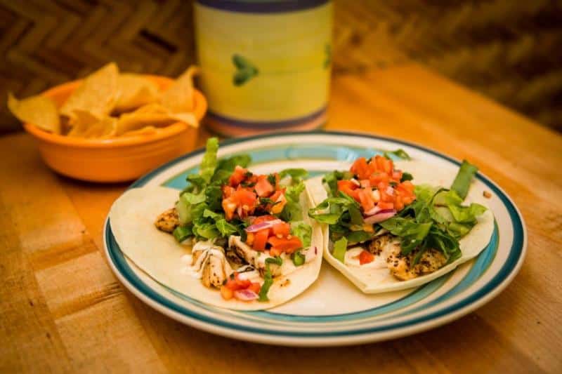 Two tacos with grilled chicken, lettuce, tomatoes, and onions on a plate. A bowl of tortilla chips is in the background.