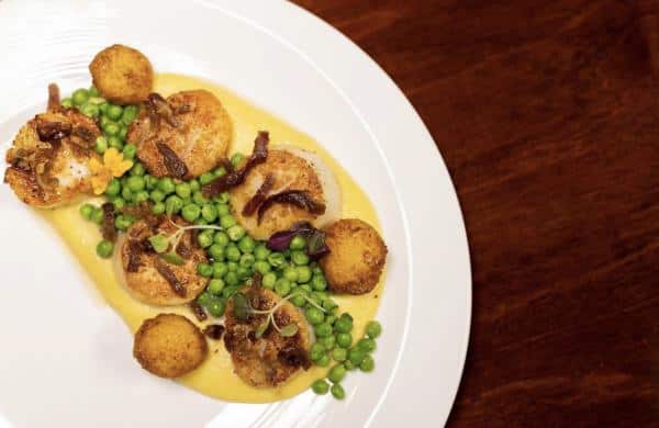 Scallops and peas on a yellow sauce, garnished with microgreens and crispy elements, plated on a white dish.