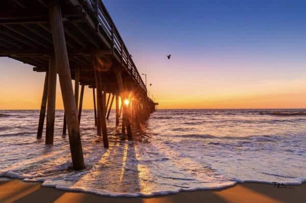 A wooden pier extends over the ocean at sunset, with the sun's rays visible between the pier's posts. A bird flies near the horizon over the water. Waves gently reach the sandy shore.