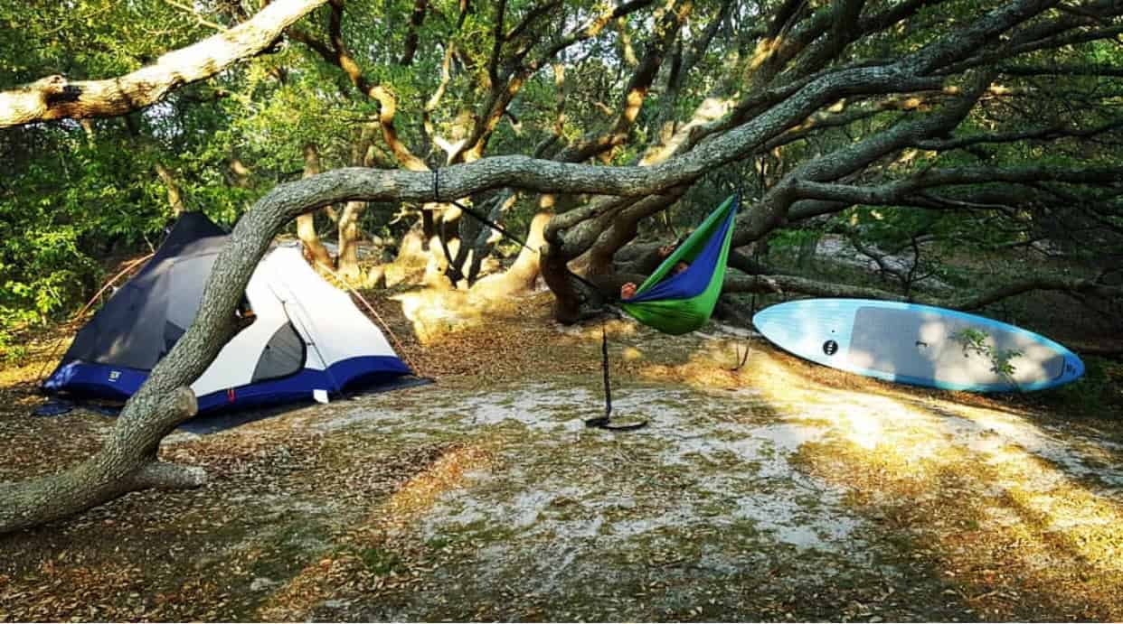 A tent, hammock, and paddleboard are set up under bent trees in a sunlit forest clearing.