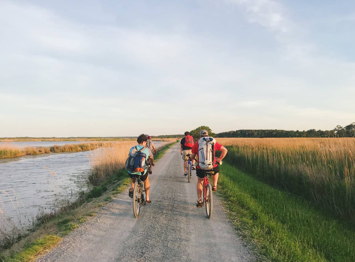 Four people with backpacks biking on a gravel path through a grassy area near a body of water under a clear sky.