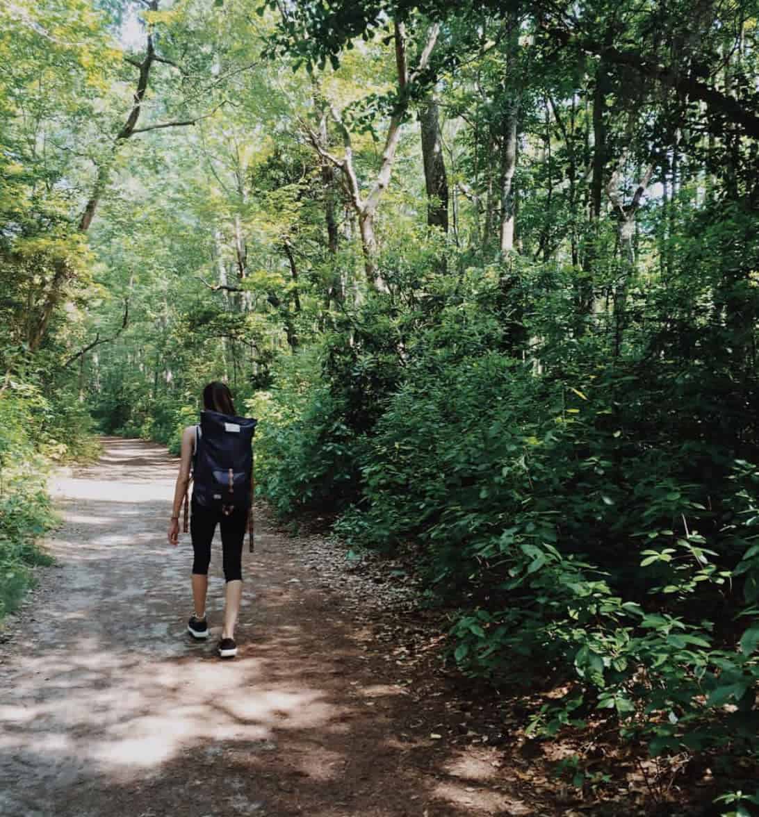 Person with a backpack walking along a sunlit forest path, surrounded by lush green trees and vegetation.