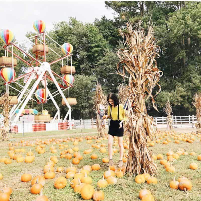 A person in a yellow shirt stands in a pumpkin patch. A Ferris wheel and corn stalks are visible in the background.