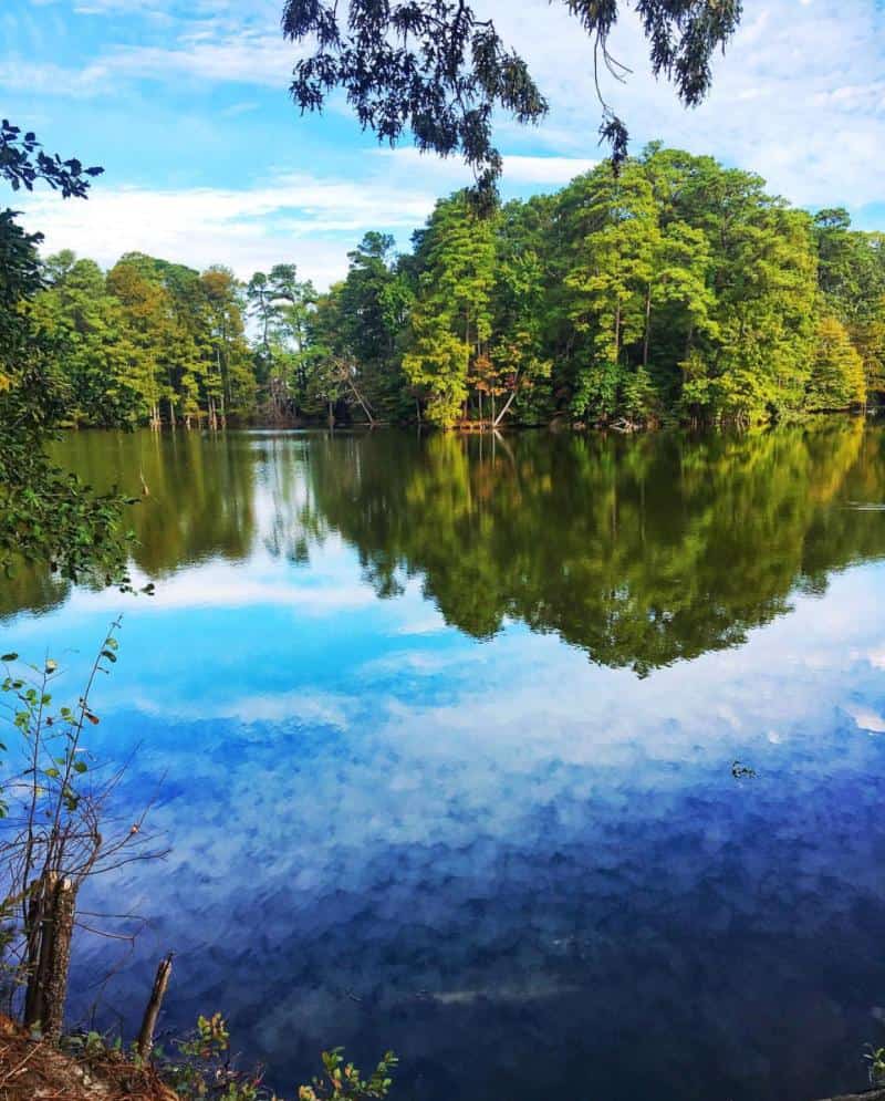 A serene lake with calm water reflecting surrounding green trees under a partly cloudy blue sky.