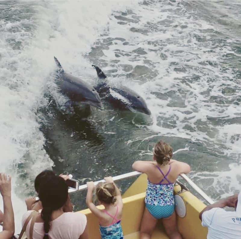 Two dolphins surf alongside a moving boat. A woman and two girls in blue swimsuits watch them from the boat.