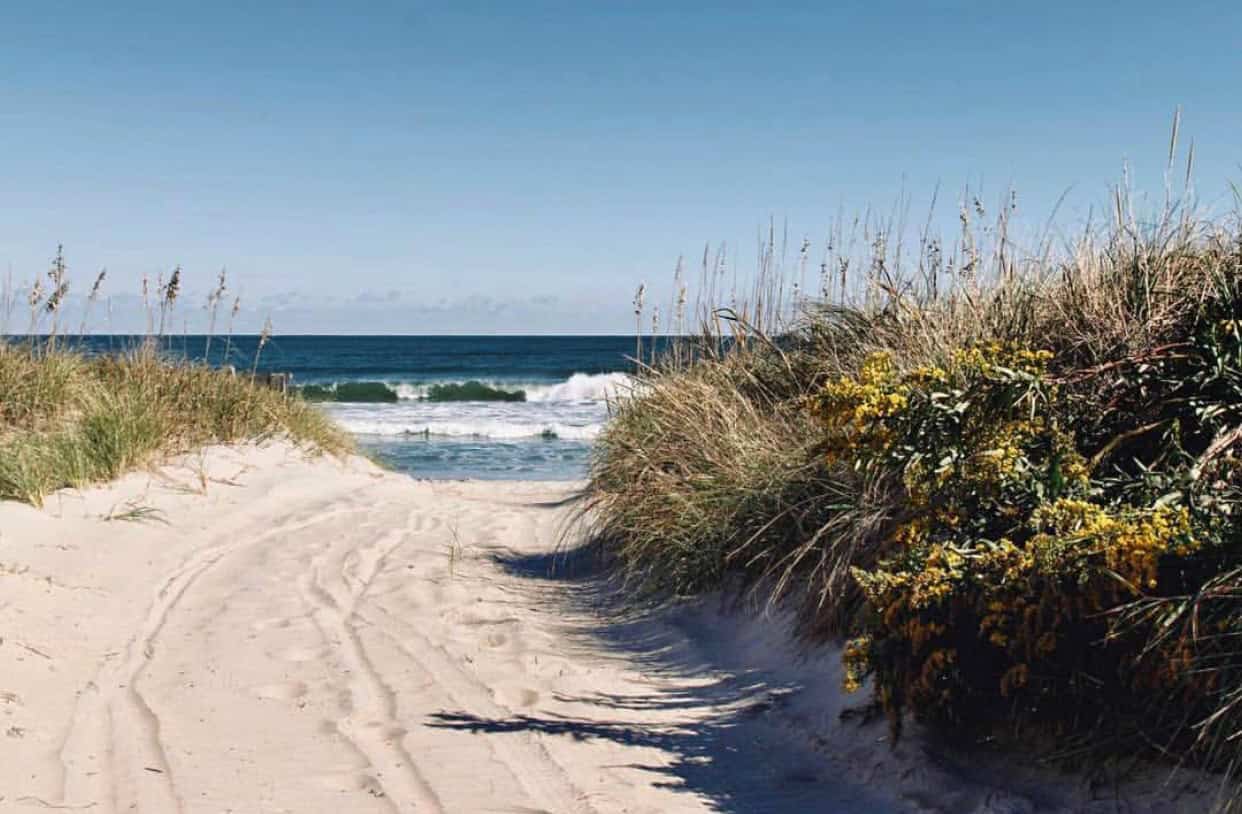 Sandy path through dunes leads to a beach with waves in the distance, flanked by tall grass and yellow flowers under a clear blue sky.