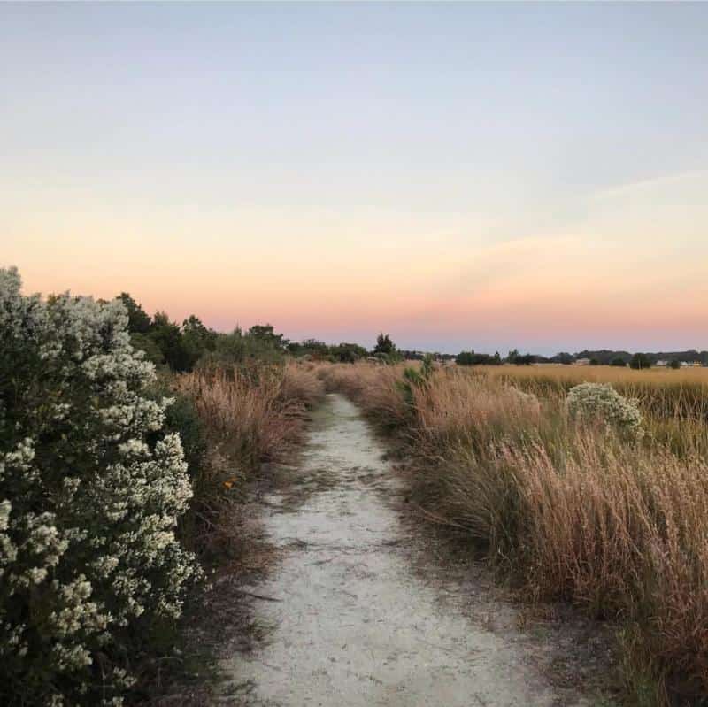 A sandy path winds through a field with tall grasses and shrubs under a pastel-colored evening sky.