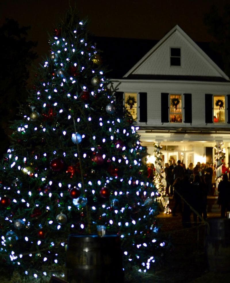 A large outdoor Christmas tree adorned with white lights and ornaments stands in front of a house decorated with lights and wreaths, where people are gathered at the entrance.
